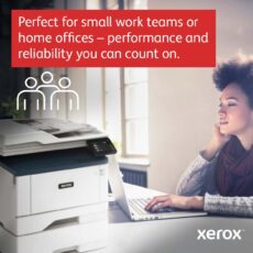 Xerox® B315